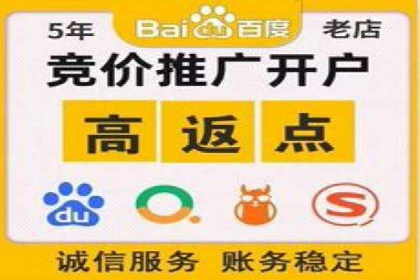 成功案例解析：百度推广代理商助力企业增长